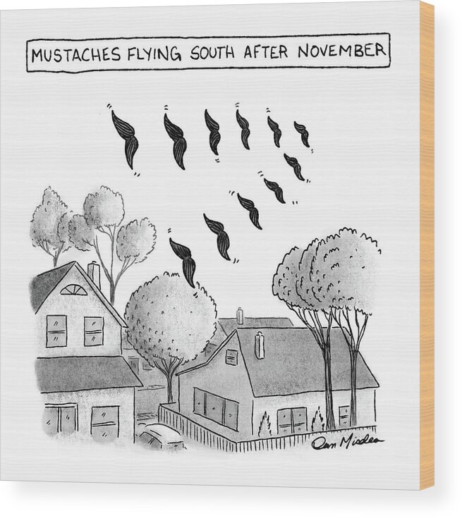 Captionless Wood Print featuring the drawing Mustaches Flying South After November by Dan Misdea