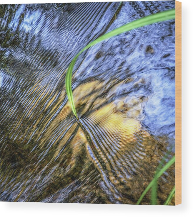 Needle Wood Print featuring the photograph Needle on reflective creek by Donald Kinney