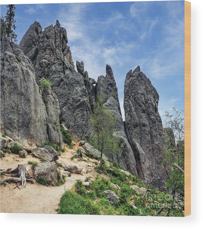 Custer State Park Wood Print featuring the photograph Needles Trail in Custer by Nick Zelinsky Jr