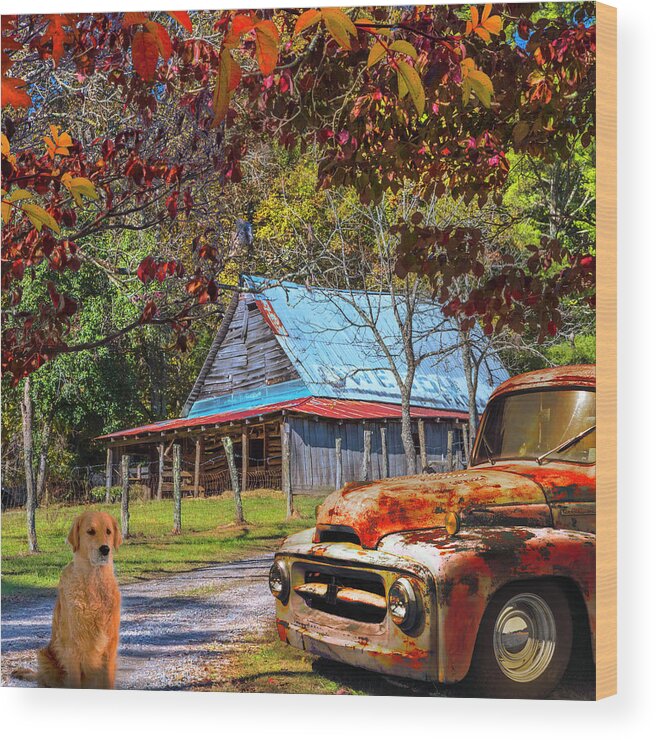 1951 Wood Print featuring the photograph Ol' Country Rust in Square by Debra and Dave Vanderlaan