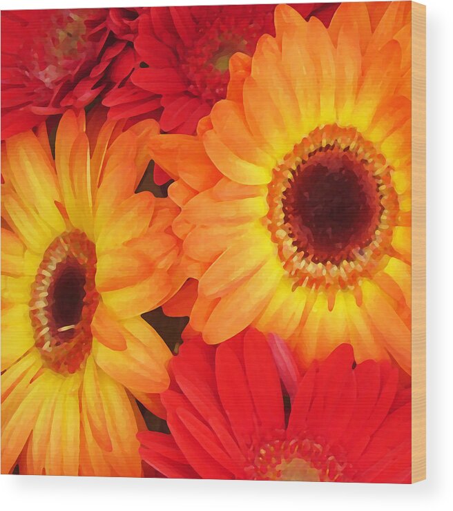Daisy Wood Print featuring the painting Orange and Red Gerbers by Amy Vangsgard