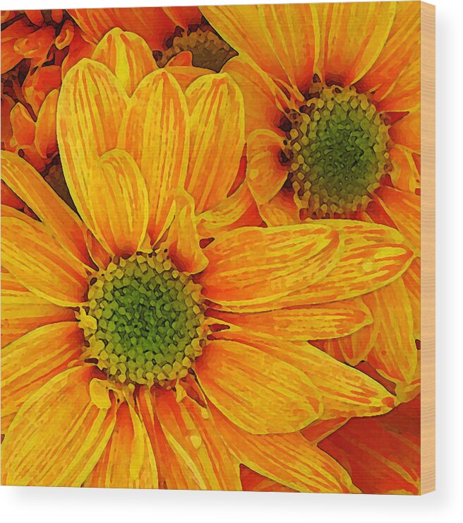 Daisy Wood Print featuring the painting Orange Pop Art Daisies Square by Amy Vangsgard