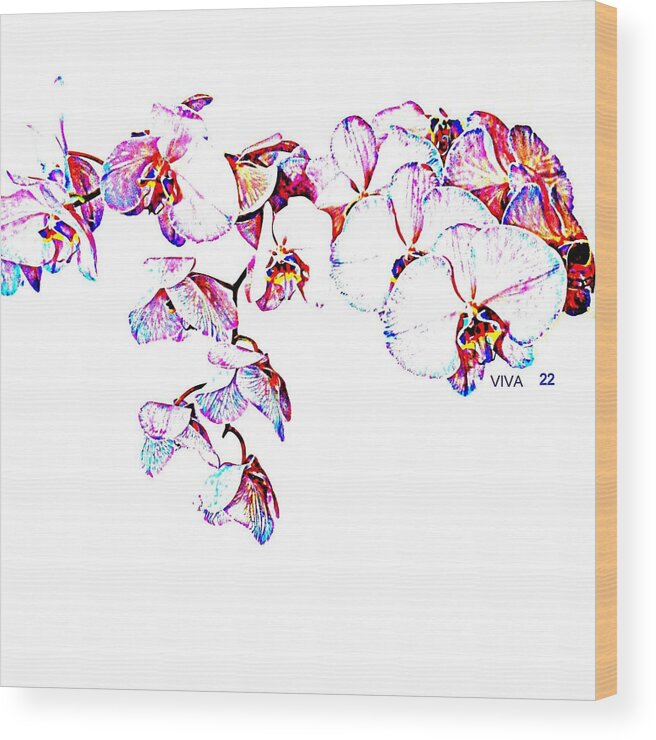 Orchids On White Wood Print featuring the photograph Orchids ON White-VIVA22 by VIVA Anderson