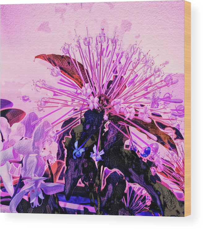 Orchids Wood Print featuring the photograph Orchidstra by Jim Signorelli