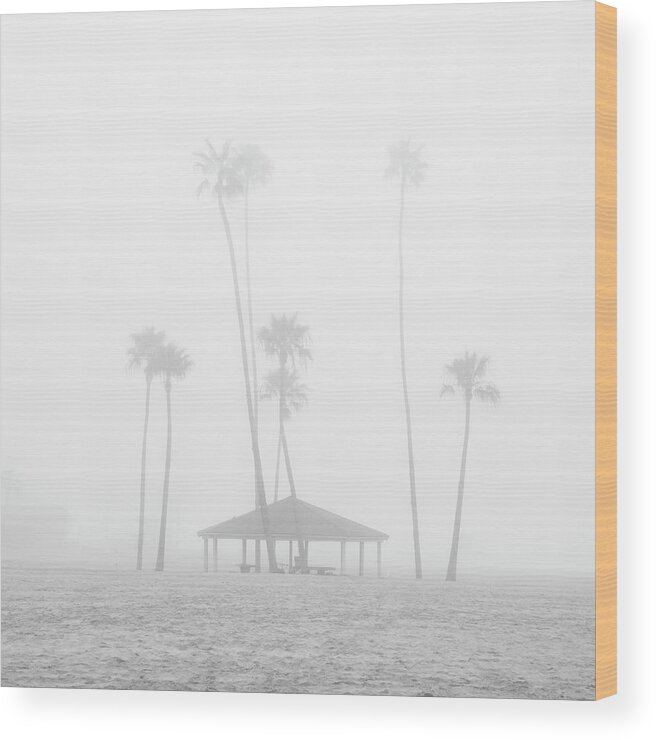 San Diego Wood Print featuring the photograph Palm Trees in Fog at Oceanside by William Dunigan