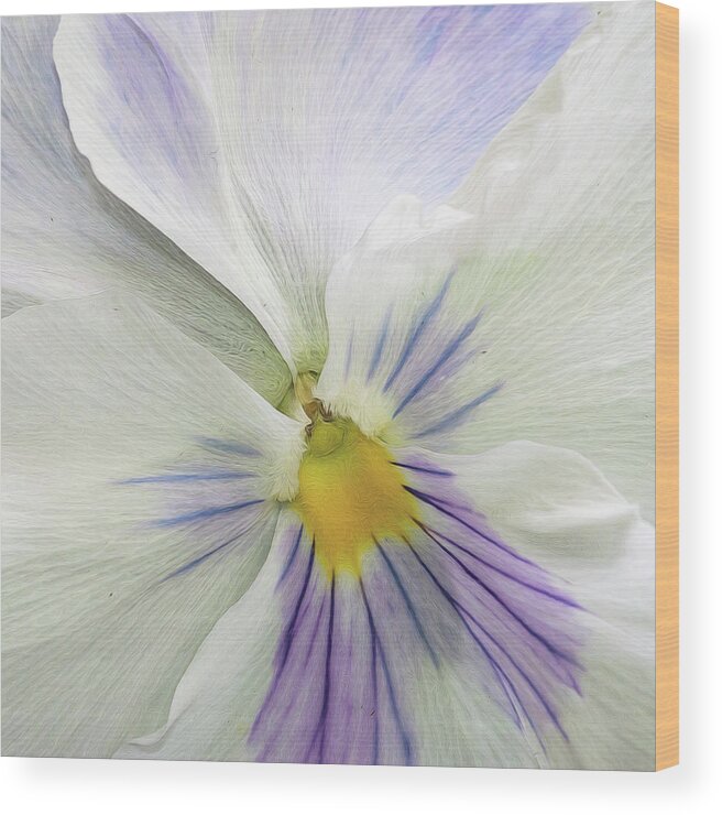 Flower Wood Print featuring the photograph Pansy Macro by Cathy Kovarik