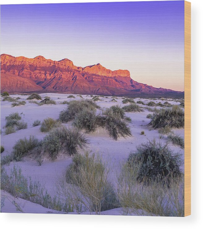 West Texas Wood Print featuring the photograph Pastel Sky over Guadalupe Mountains by Erin K Images