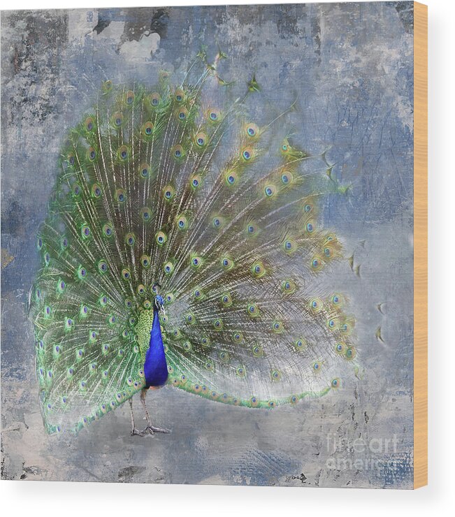 Peacock Wood Print featuring the photograph Peacock Art by Ed Taylor