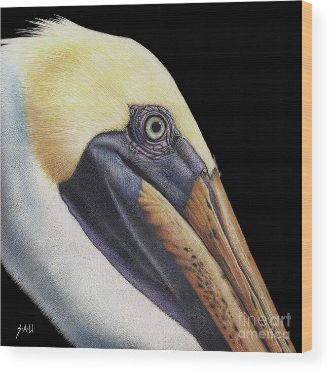Pelican Wood Print featuring the drawing Perfectly Poised by Sheryl Unwin