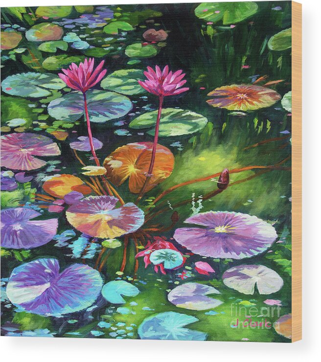 Water Lilies Wood Print featuring the painting Pink Water Lilies Square by John Clark