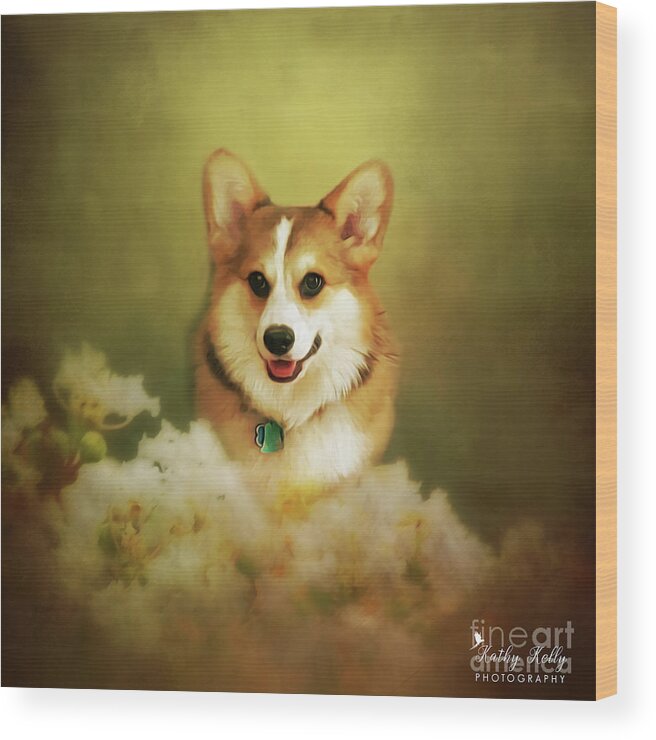 Welsh Corgi Wood Print featuring the mixed media Pippin's Portrait by Kathy Kelly