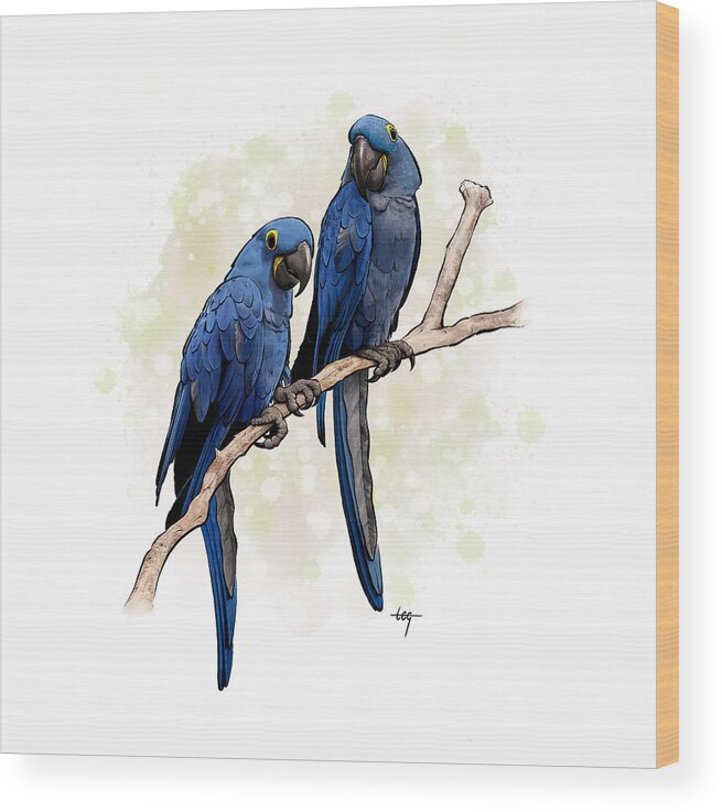 Parrot Wood Print featuring the digital art Pretty Birds by Tom Gehrke