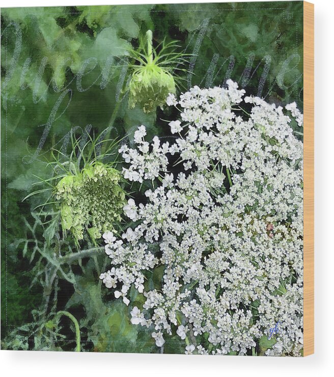 Floral Wood Print featuring the digital art Queen Anne's Lace by Gina Harrison