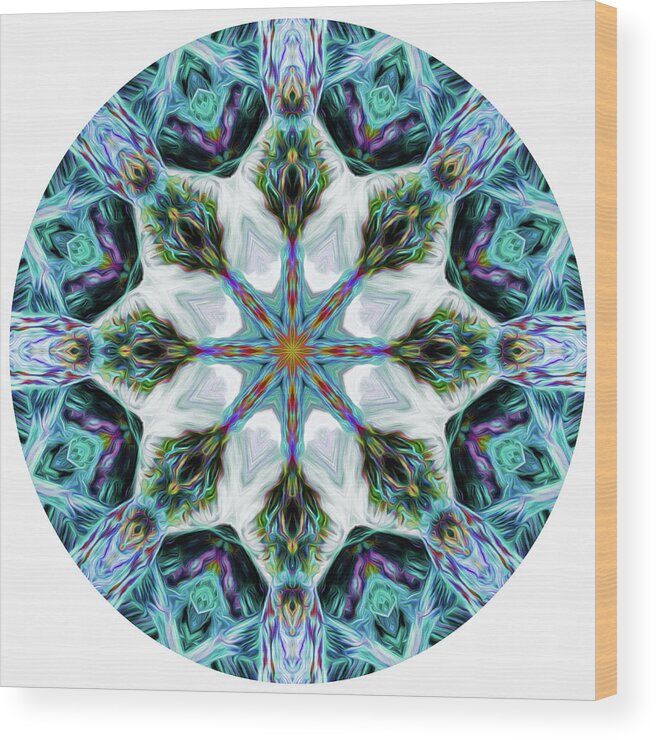 Mandala Wood Print featuring the digital art Rainbow Waterfall Mandala 1 by Beth Venner