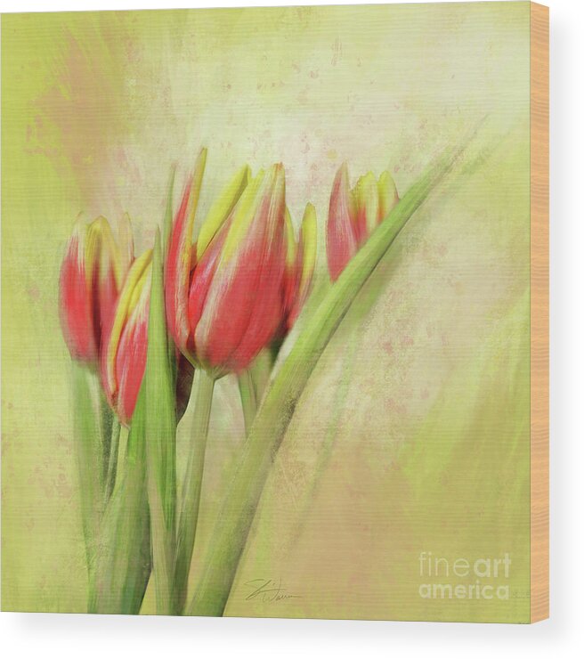 Tulip Wood Print featuring the mixed media Red and Yellow Tulips by Shari Warren