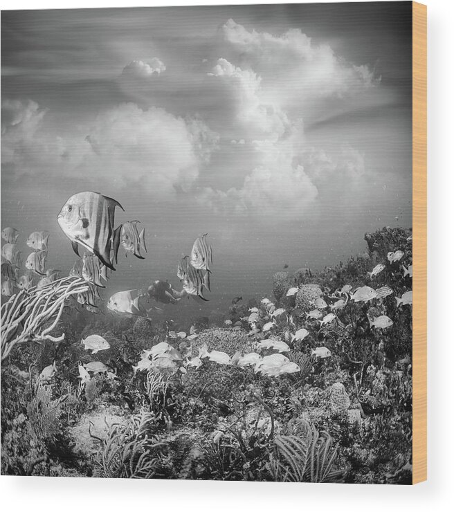 Black Wood Print featuring the photograph Reef Under the Sea and Sky Black and White by Debra and Dave Vanderlaan