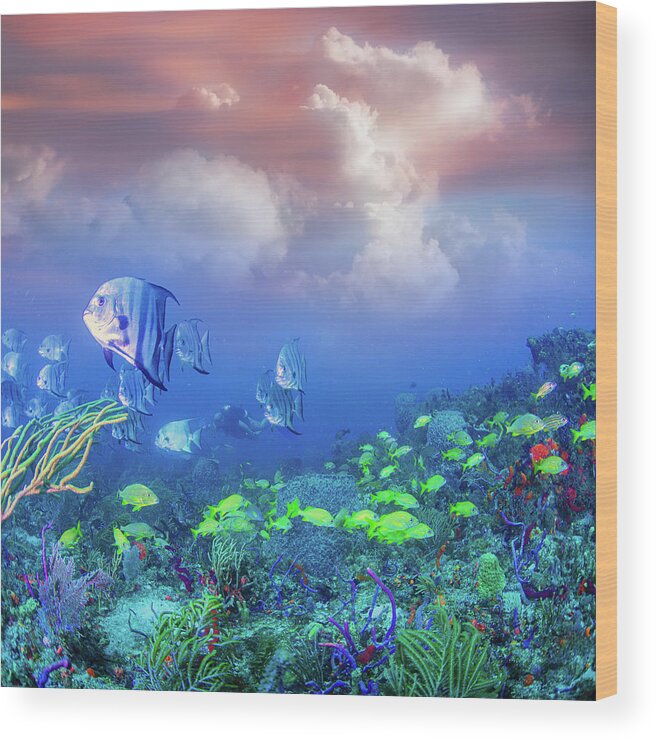 Undersea Wood Print featuring the photograph Reef Under the Sea and Sky by Debra and Dave Vanderlaan