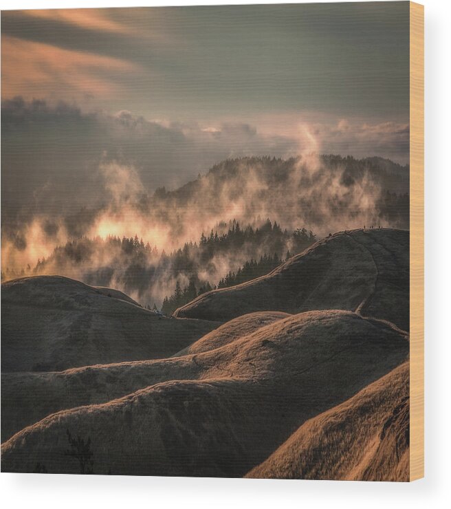 Rising Steam Wood Print featuring the photograph Rising steam, Bolinas Ridge by Donald Kinney