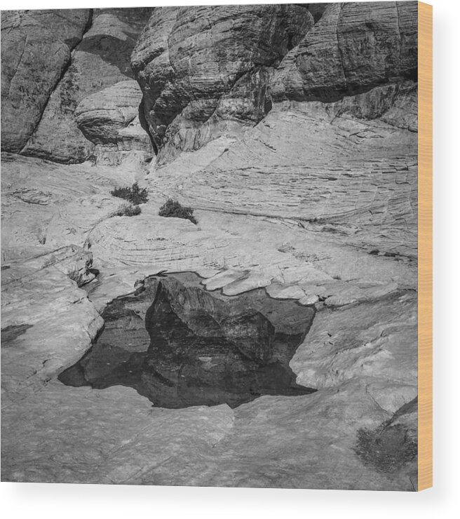  Wood Print featuring the photograph Rock Reflection by Rodney Lee Williams