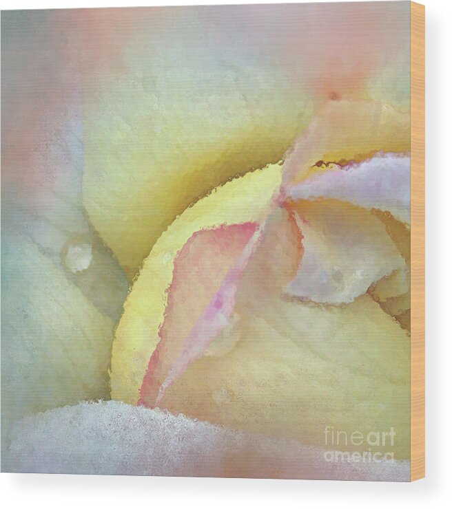 Rose Wood Print featuring the digital art Rose of Many Colors by Anita Faye