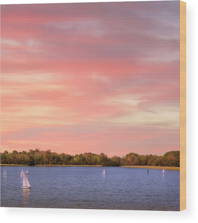 Remote Control Model Sailboats Photo Wood Print featuring the photograph Sailboats at James Island SC Sunset by Bob Pardue
