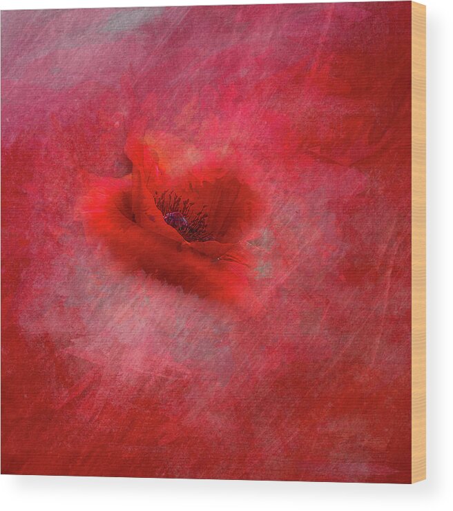 Poppy Wood Print featuring the photograph Seeing RED-Muted Love by Cheri Freeman