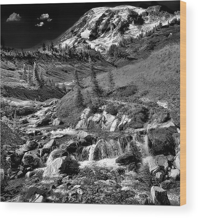 Mt. Rainier Wood Print featuring the photograph Snow Stream by Jim Signorelli