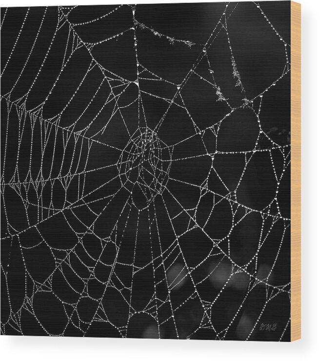 Abstract Wood Print featuring the photograph Spider Web I BW by David Gordon