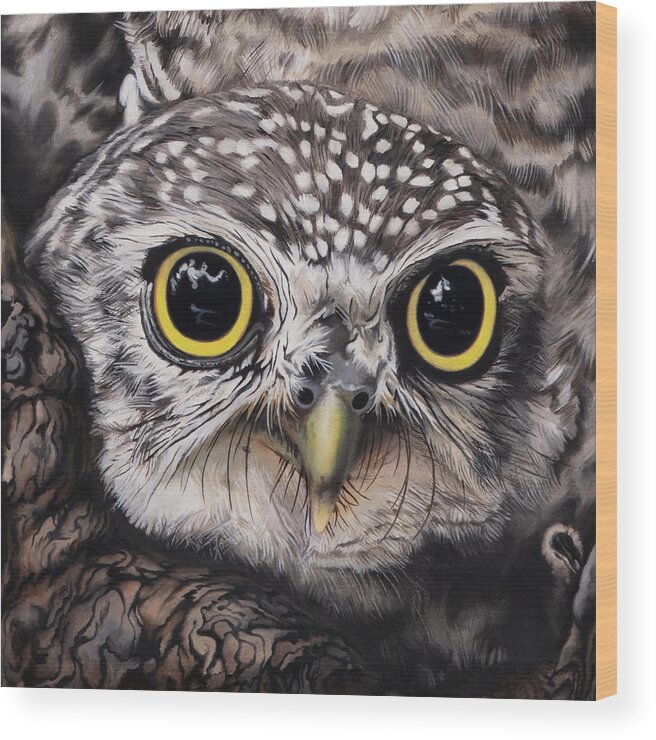 Snarf Wood Print featuring the painting Spotted Owlet by Nikita Coulombe