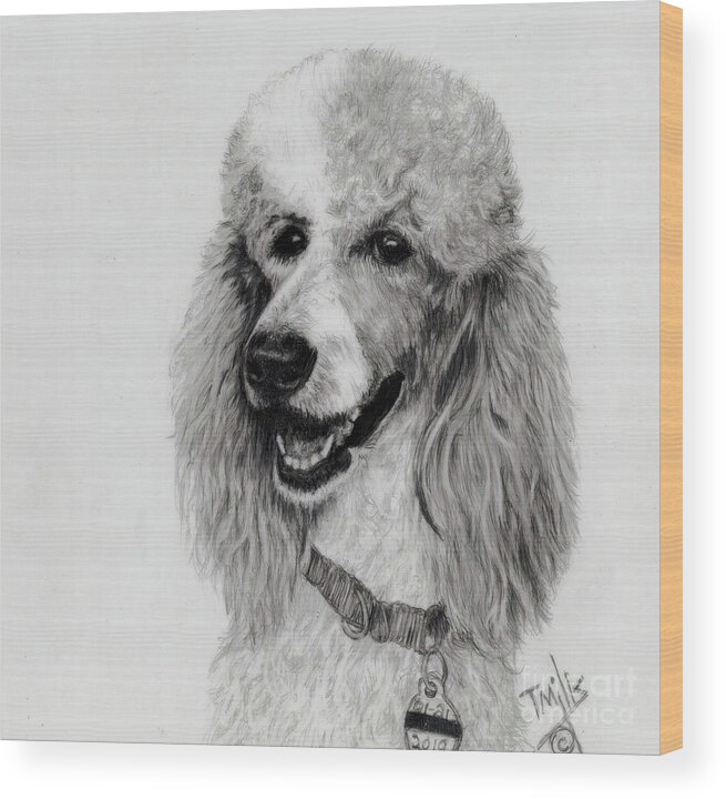 Dog Wood Print featuring the drawing Standard Poodle 3 by Terri Mills