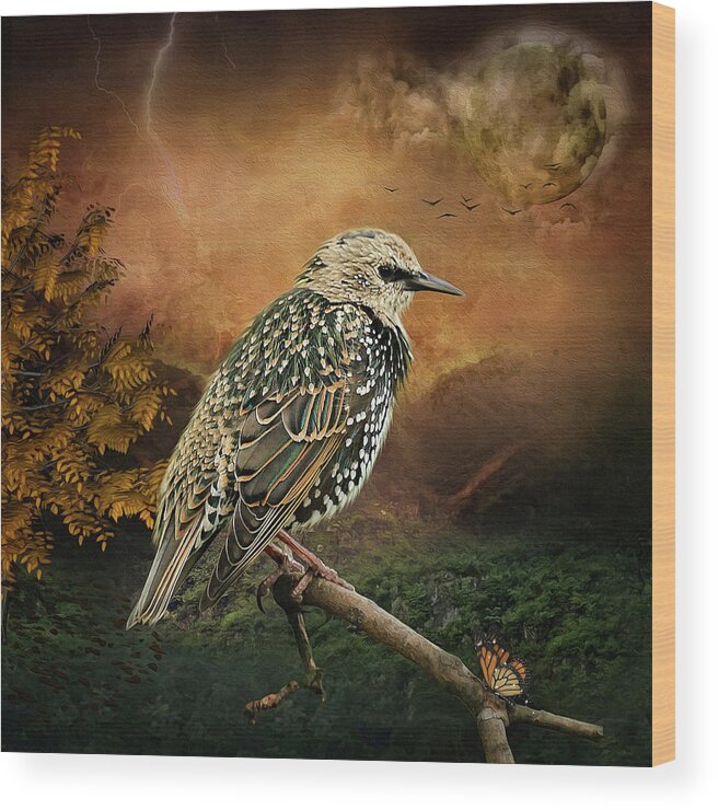 Starling Wood Print featuring the digital art Starling by Maggy Pease