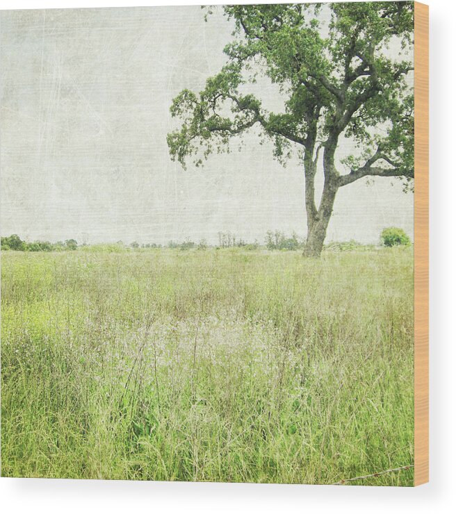 Tree Wood Print featuring the photograph Stay a While by Lupen Grainne