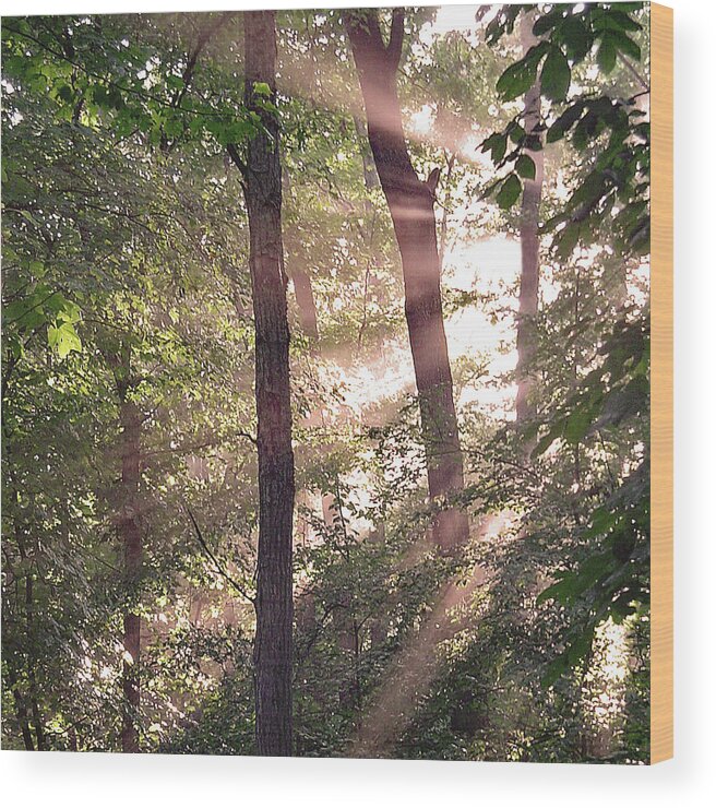 Trees Wood Print featuring the digital art Sun Rays in Virginia by Nancy Olivia Hoffmann