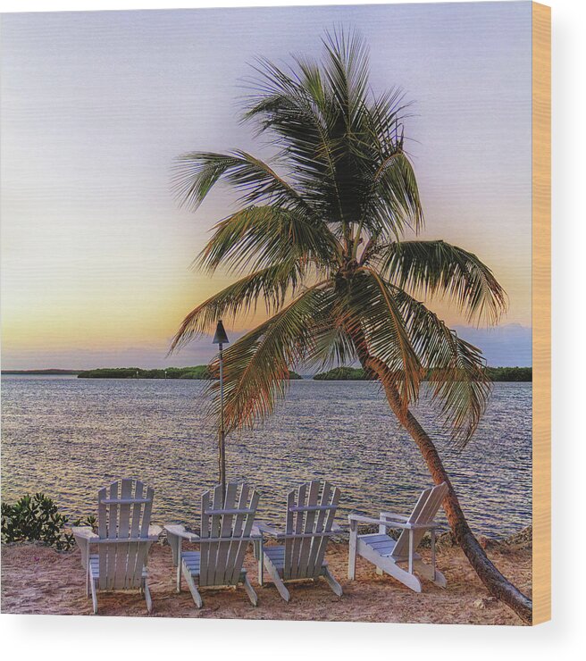 Palm Tree Wood Print featuring the photograph Sunset Seating by Ron Dubin