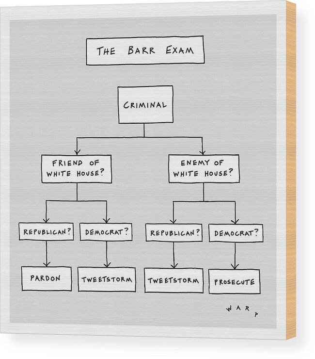 The Barr Exam Wood Print featuring the drawing The Bar Exam by Kim Warp