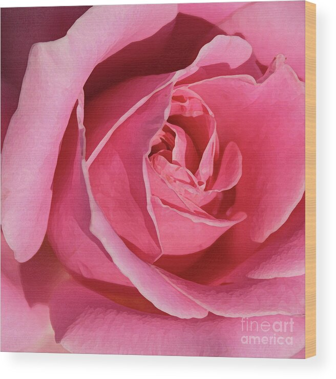 Rose; Roses; Flowers; Flower; Floral; Flora; Pink; Pink Rose; Pink Flowers; Digital Art; Photography; Painting; Simple; Decorative; Décor; Macro; Close-up Wood Print featuring the photograph The Beauty of the Rose by Tina Uihlein