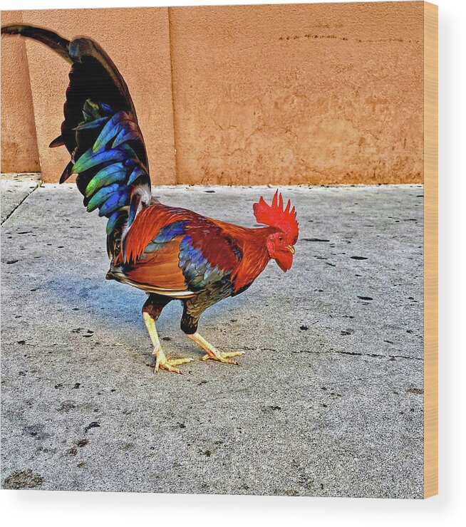  Key Wood Print featuring the photograph The Key West Rooster by Monika Salvan