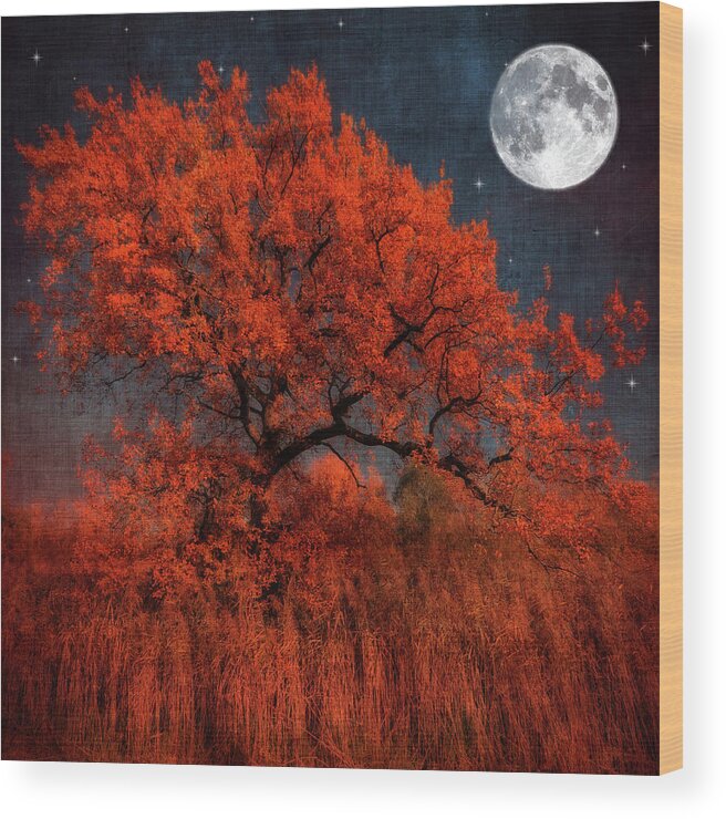 Tree Wood Print featuring the photograph The Tree that Spoke to the Moon by Philippe Sainte-Laudy