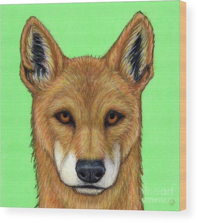 Dingo Wood Print featuring the painting The Wild Dingo by Amy E Fraser
