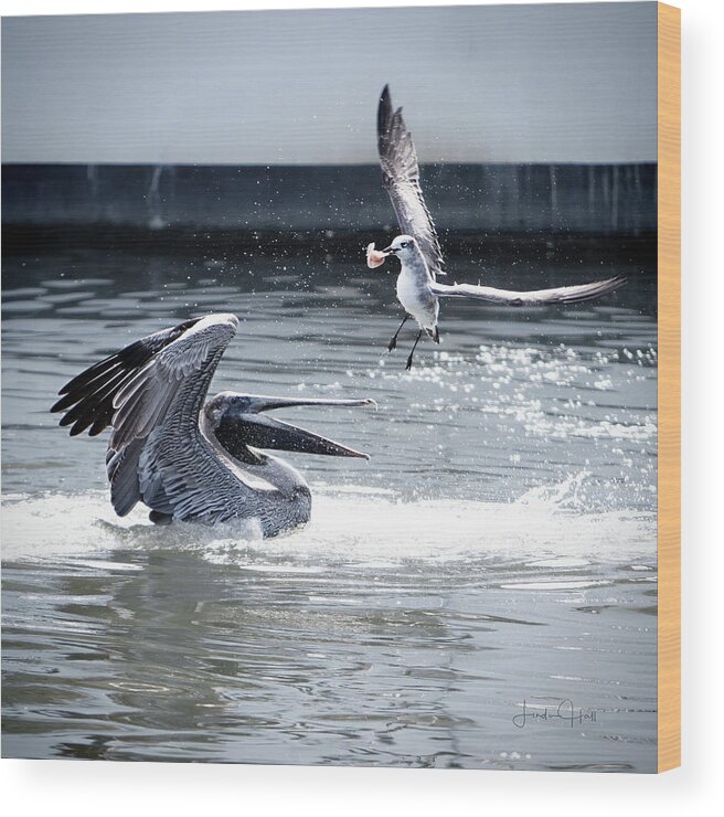 Pelican Wood Print featuring the photograph The Winner by Linda Lee Hall