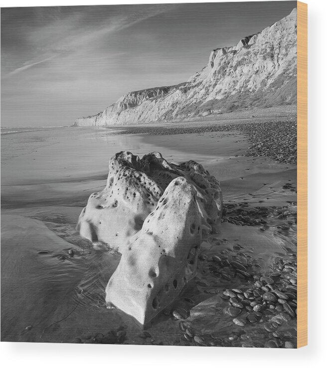 San Diego Wood Print featuring the photograph Torrey Pines Monochrome Beach by William Dunigan