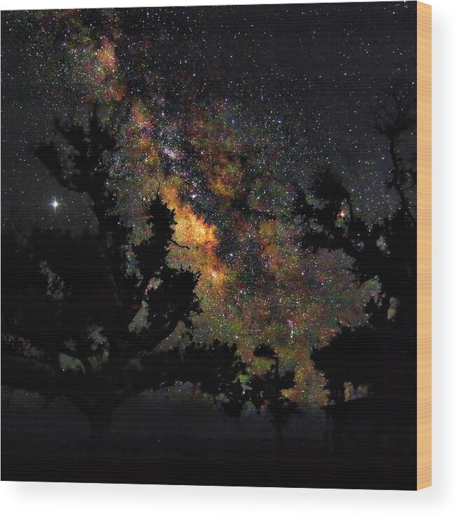Milky Way Wood Print featuring the photograph Trees Silhouetted by the Milky Way - Harkers Island North Caroli by Bob Decker