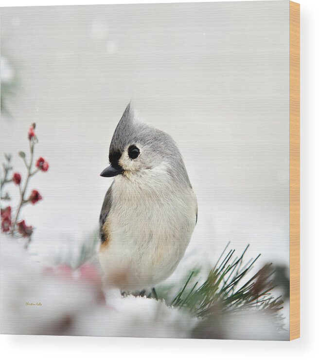 Titmouse Wood Print featuring the photograph Tufted Titmouse Square by Christina Rollo