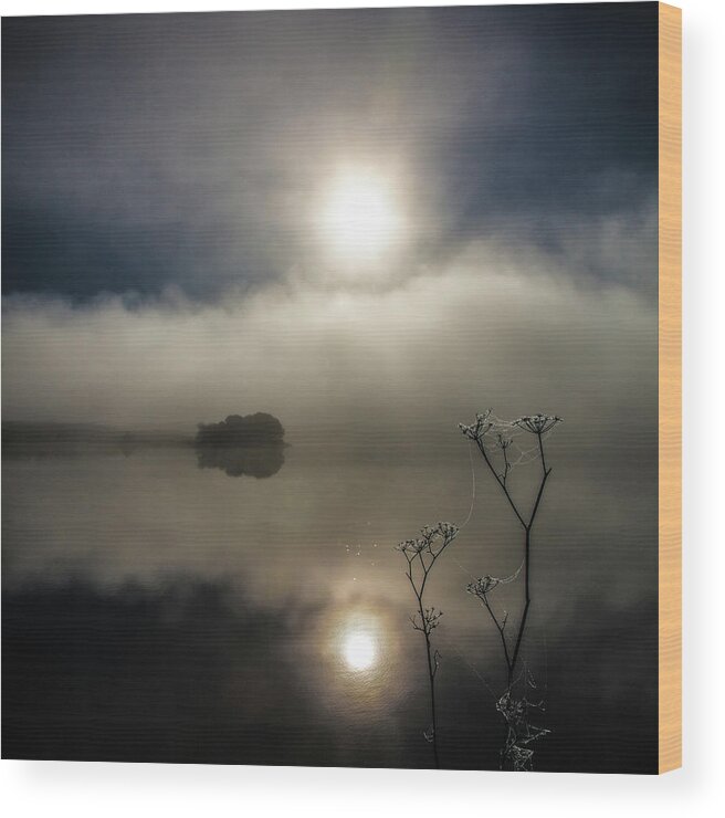 Two Suns Wood Print featuring the photograph Two Suns, Nicasio by Donald Kinney