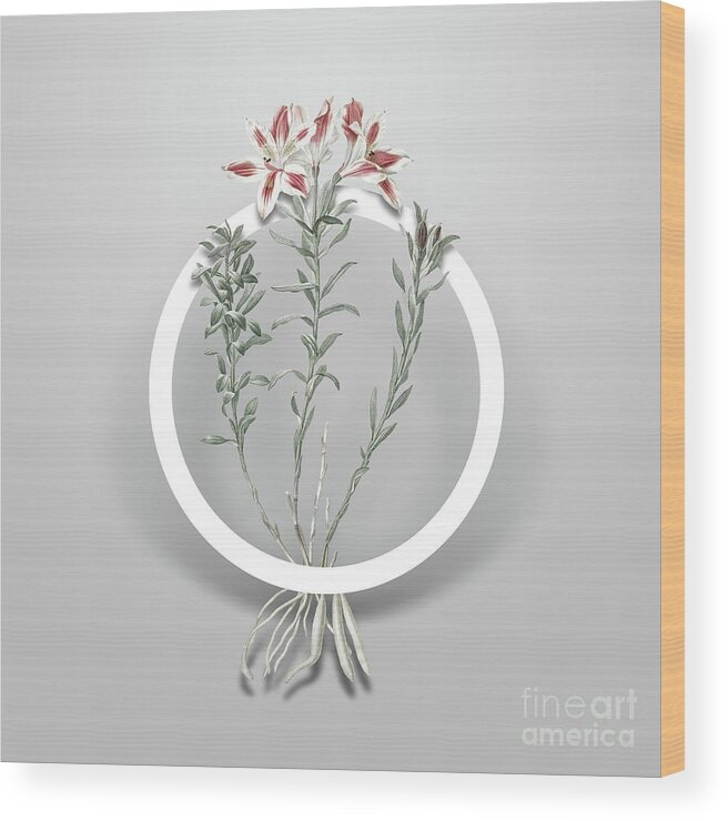 Vintage Wood Print featuring the painting Vintage Lily of the Incas Minimalist Floral Geometric Circle Art N.640 by Holy Rock Design