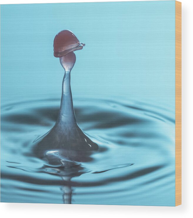 Waterdrop Wood Print featuring the photograph Water drop falling onto column of water by Steven Heap