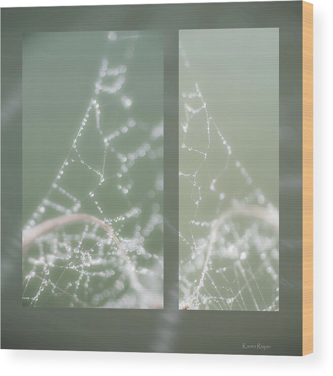 Web Wood Print featuring the photograph Web With Dew by Karen Rispin