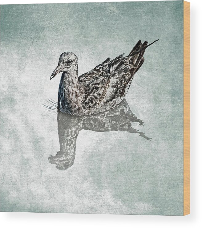 Arrowhead Marsh Wood Print featuring the photograph Western Gull by Mike Gifford