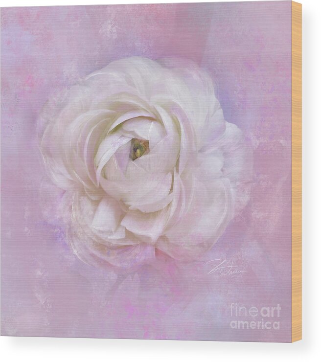 Ranunculus Wood Print featuring the mixed media White Ranunculus Dreams by Shari Warren