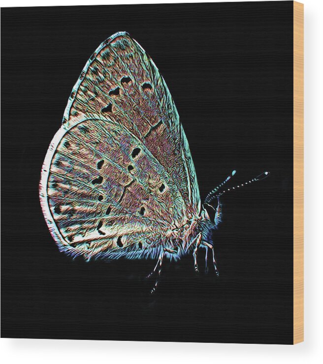 Art Wood Print featuring the digital art Wild Butterfly on Black Background by Artful Oasis
